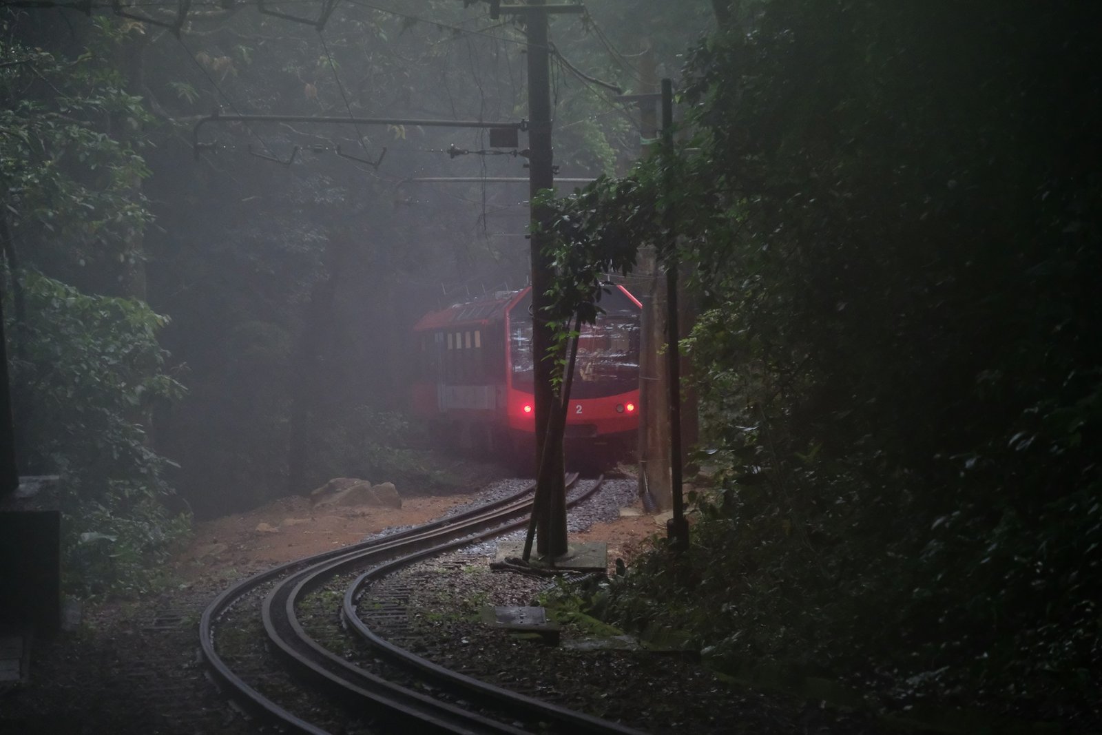 Corcovado Trein: Reis naar Christus de Verlosser in Rio